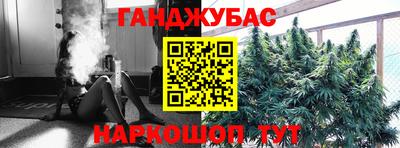 крисы Краснознаменск