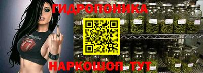 крисы Краснознаменск