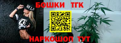 крисы Краснознаменск